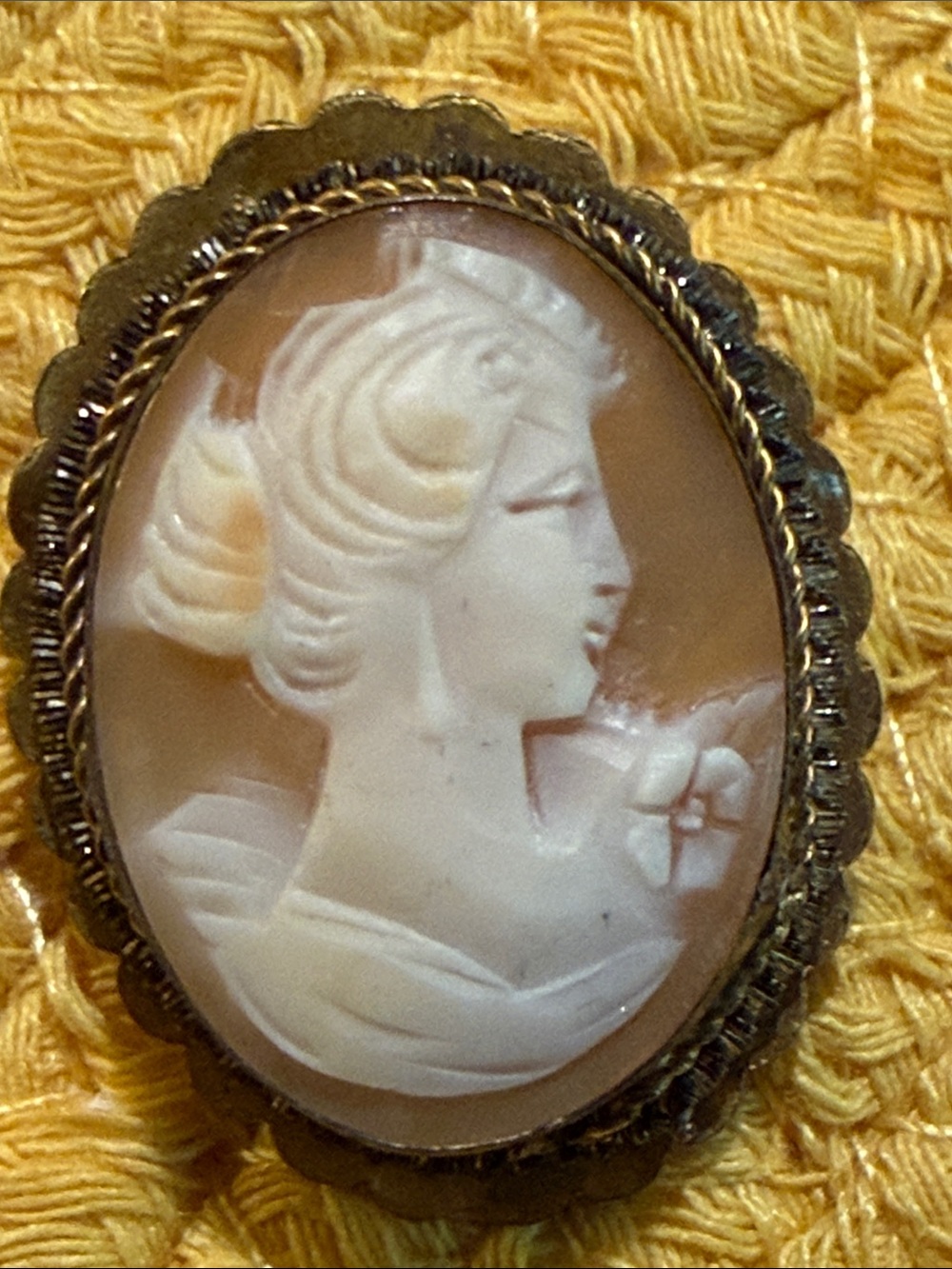 Vintage Cameo Brooch - Cream & Gold Elegant Portrait
